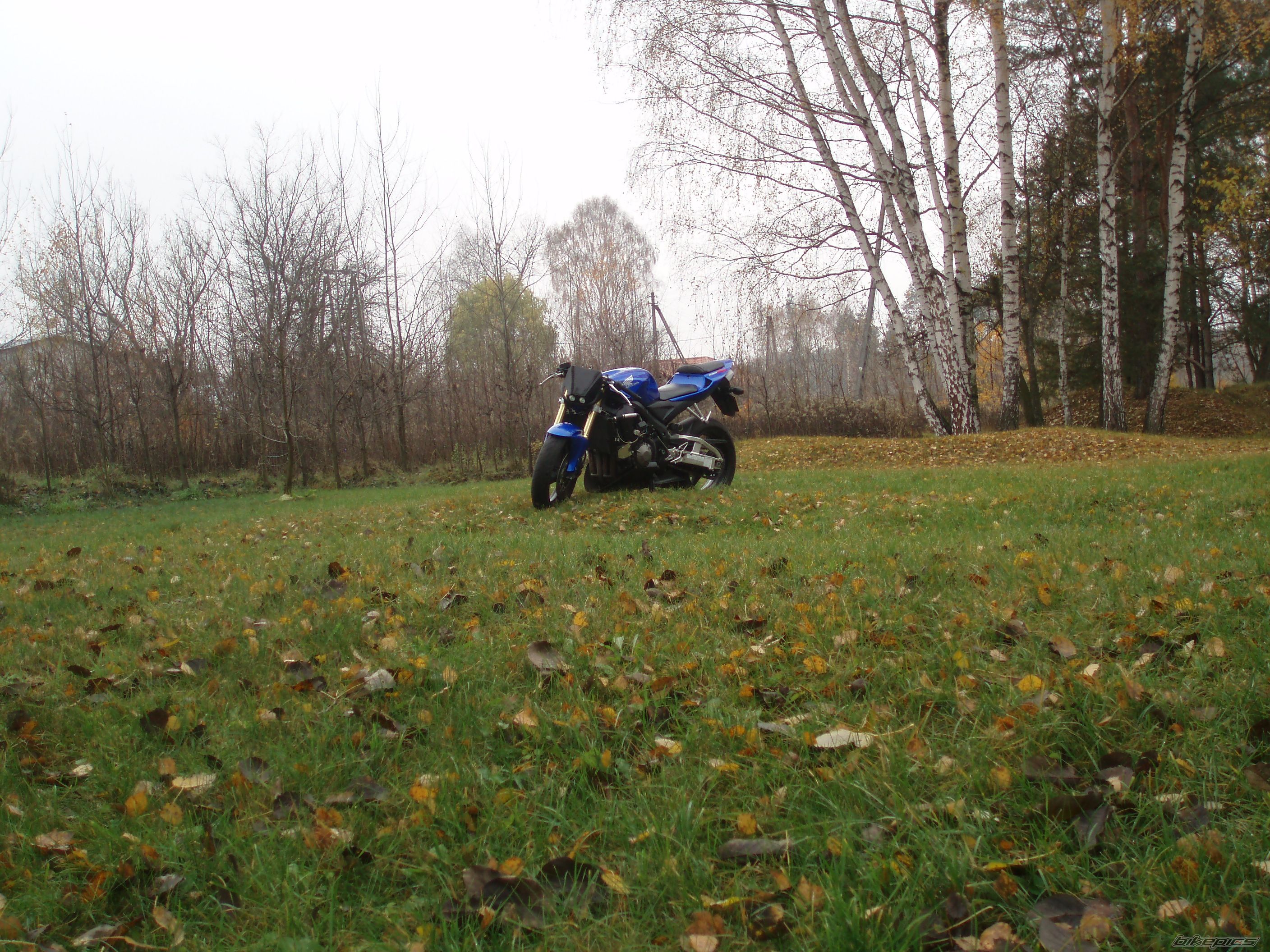 Photo 1125906