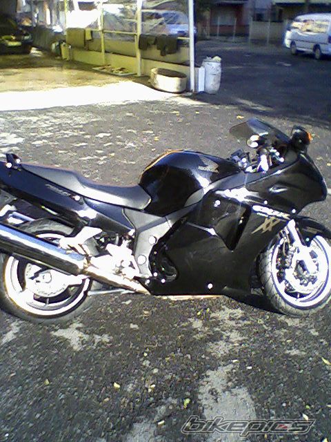Photo 1126225