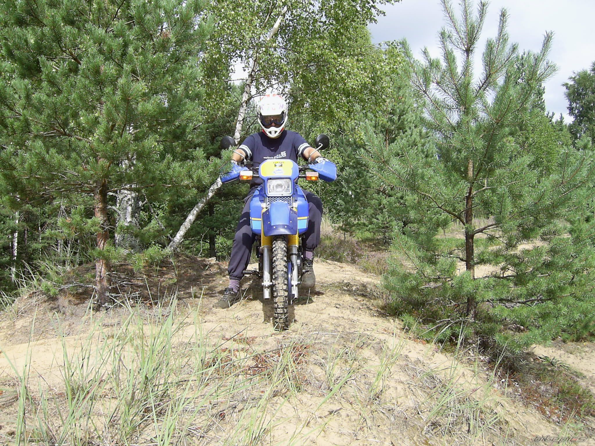 Photo 1126691