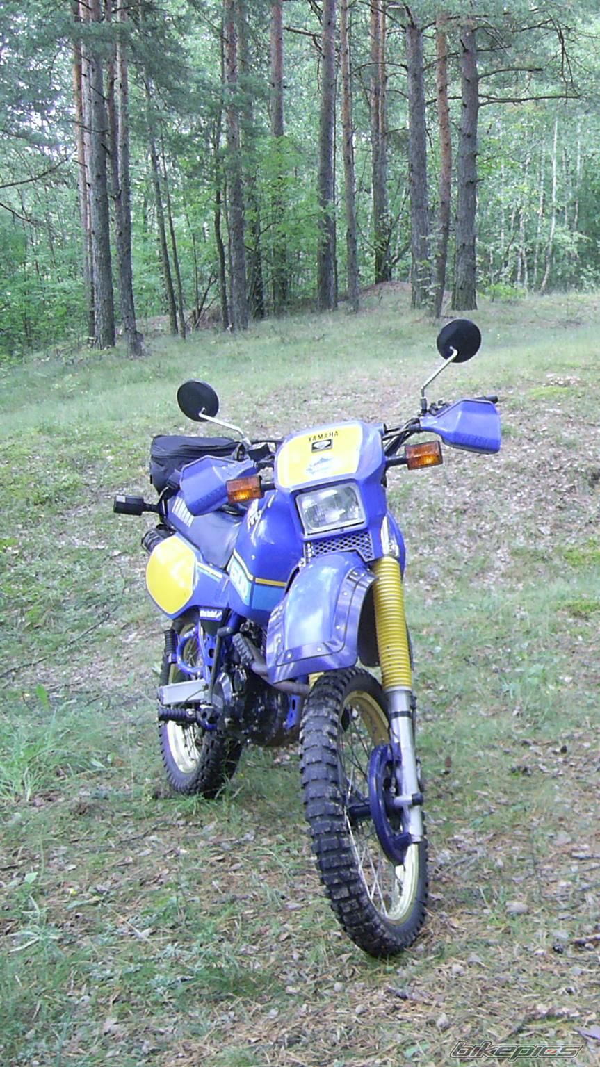 Bike Photo 1126699