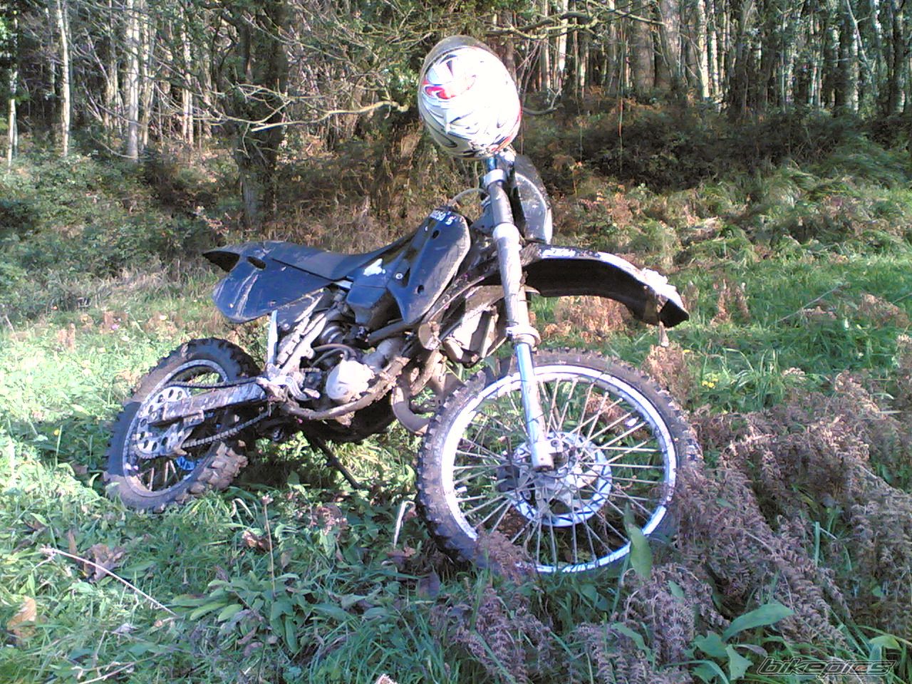 Photo 1126739