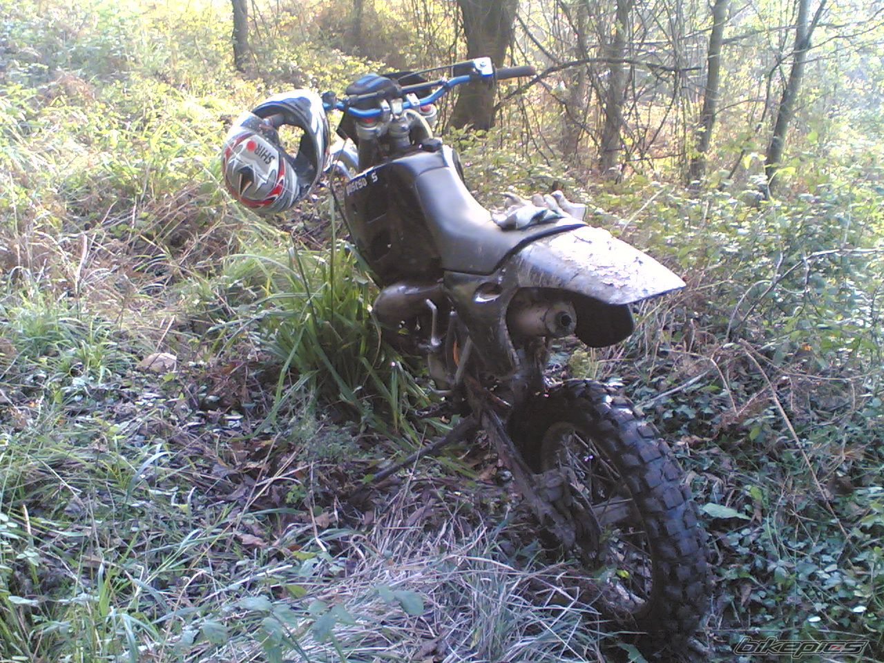 Photo 1126744
