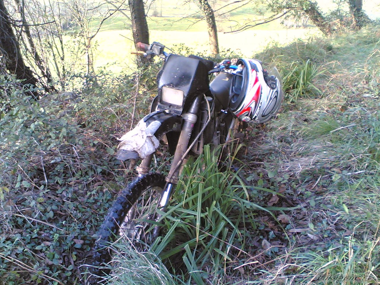 Photo 1126748