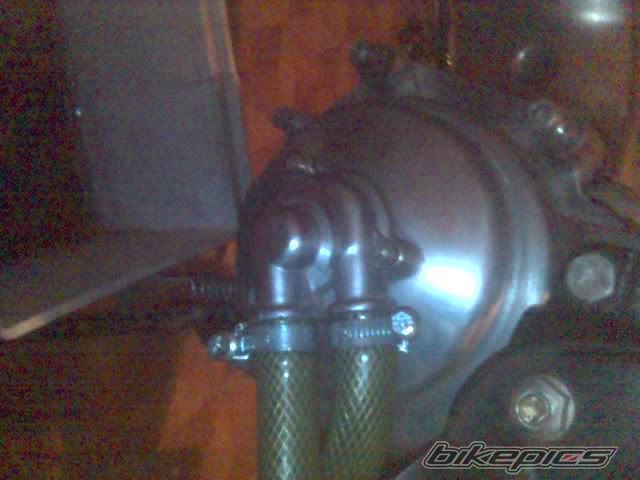 Photo 1127062