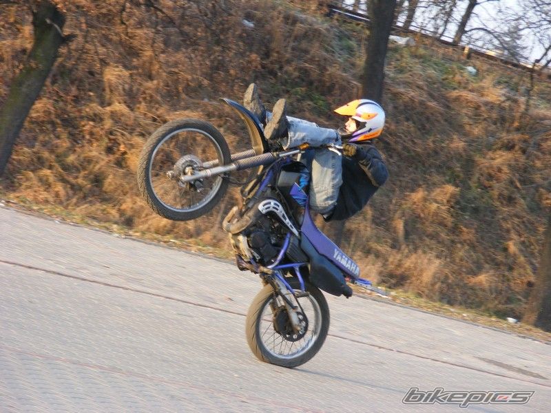 Photo 1127083