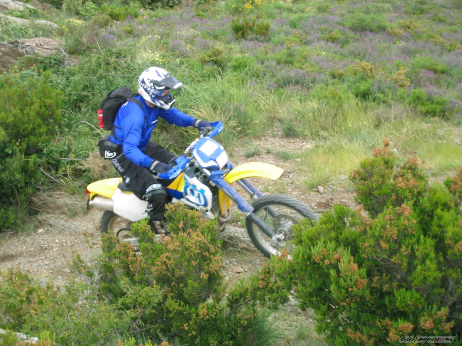 Photo 1127102