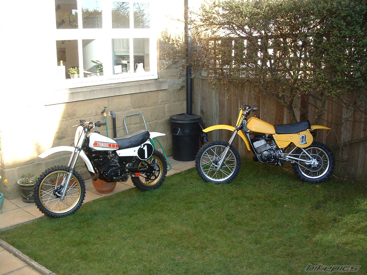 Photo 1127113