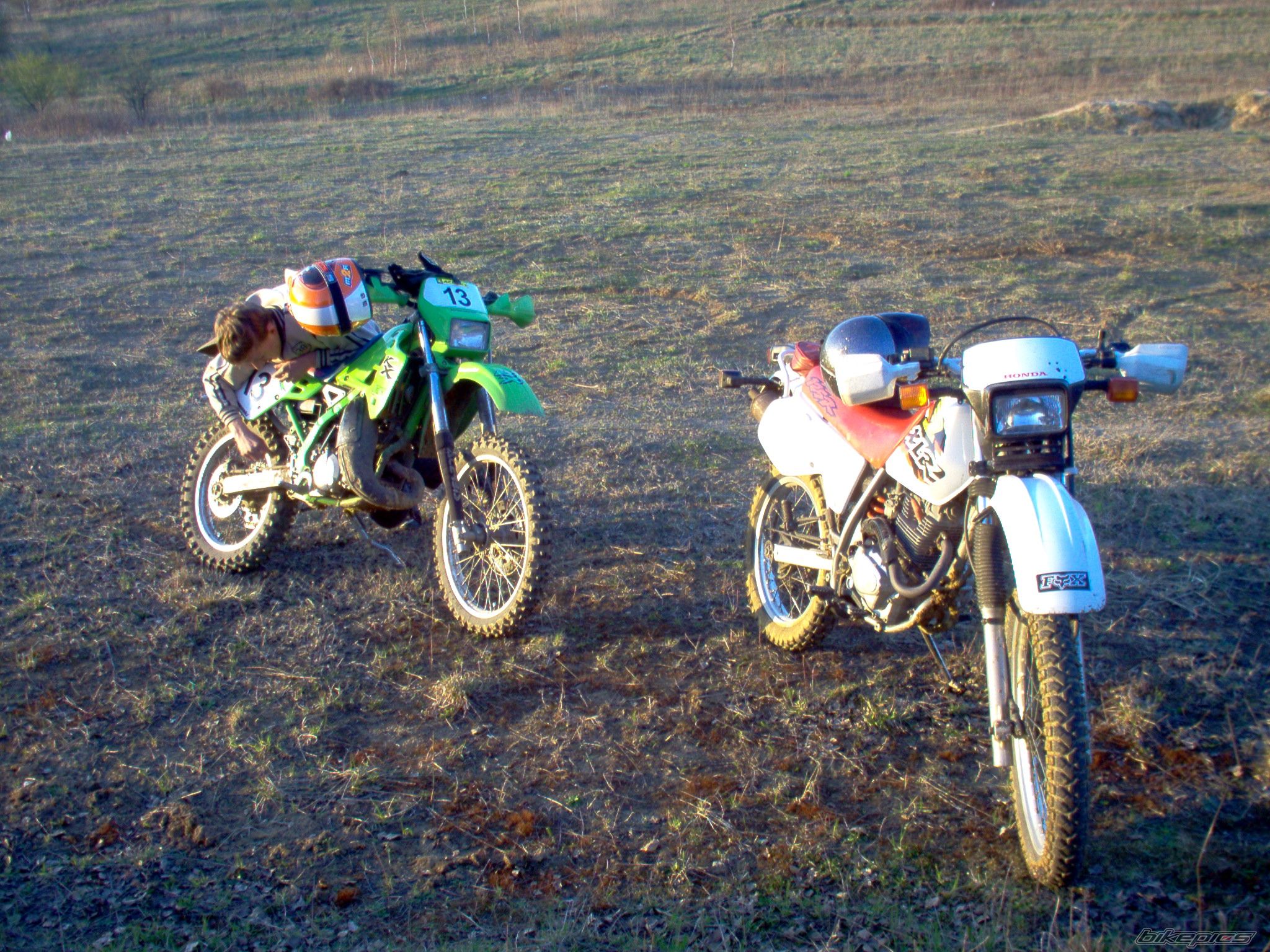 Photo 1127178