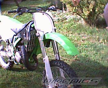 Photo 11272