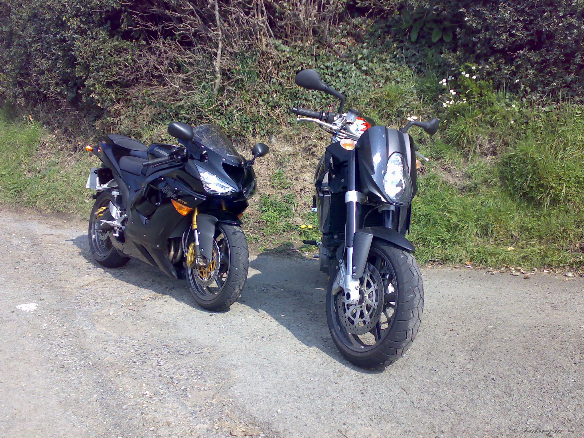 Photo 1127236