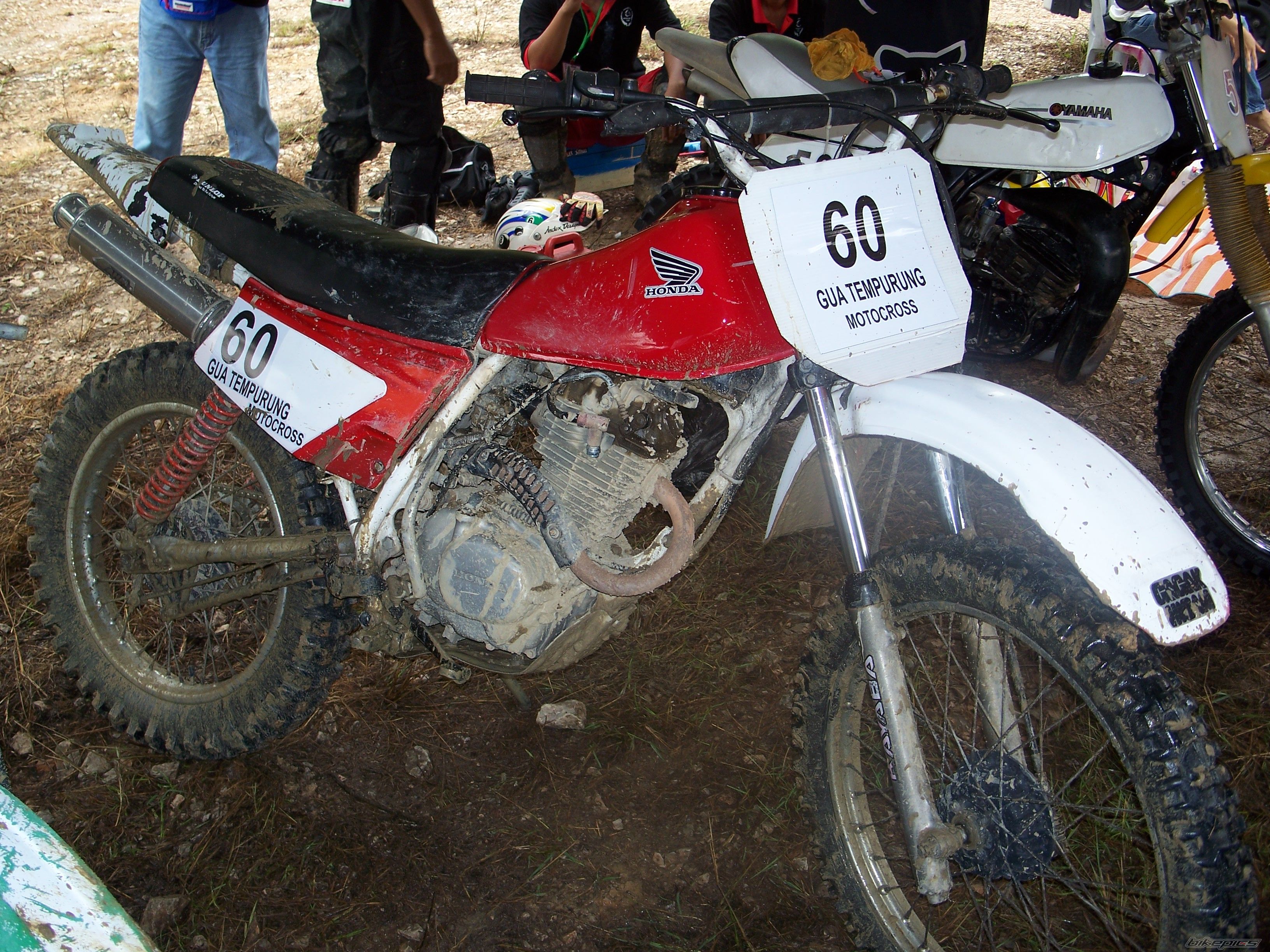 Photo 1127557
