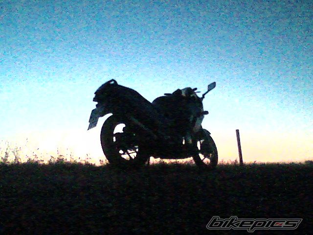 Photo 1127880