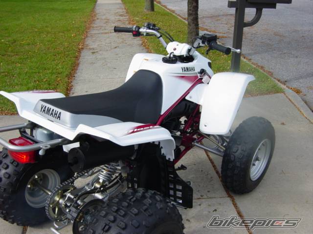 Photo 112789