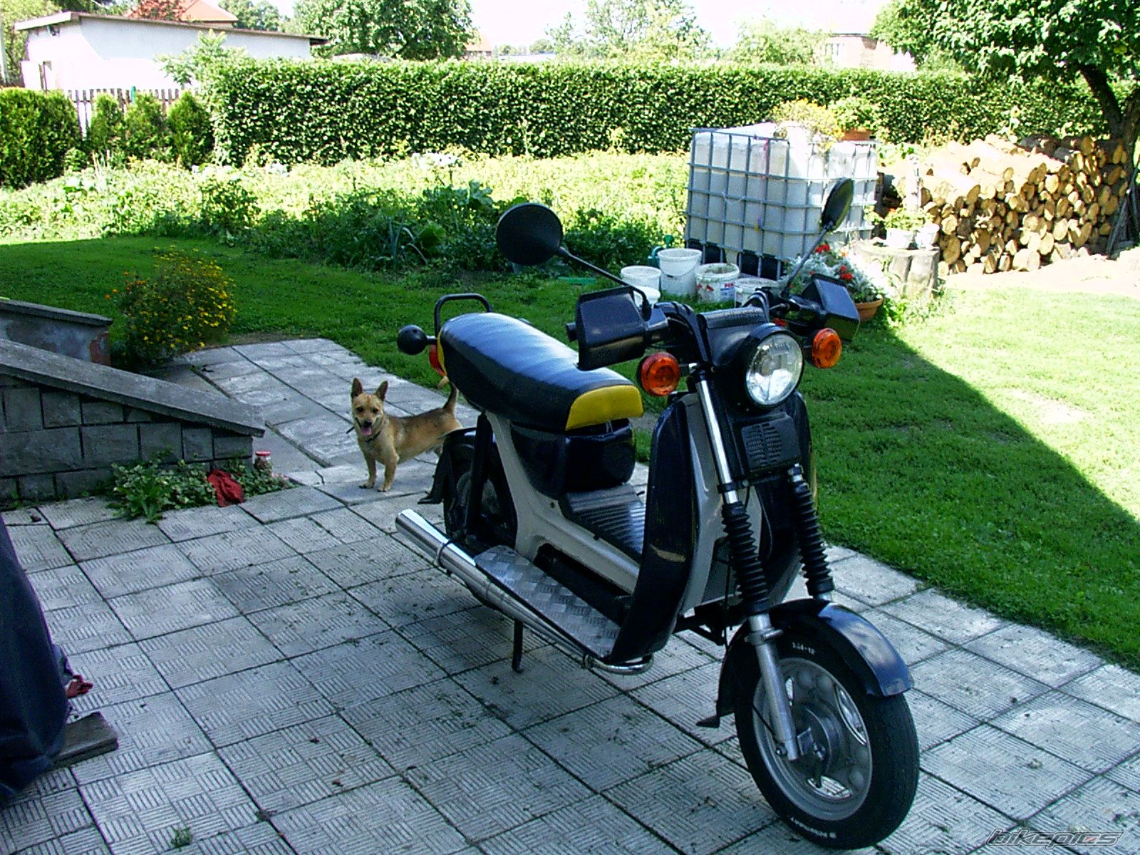 Photo 1127903