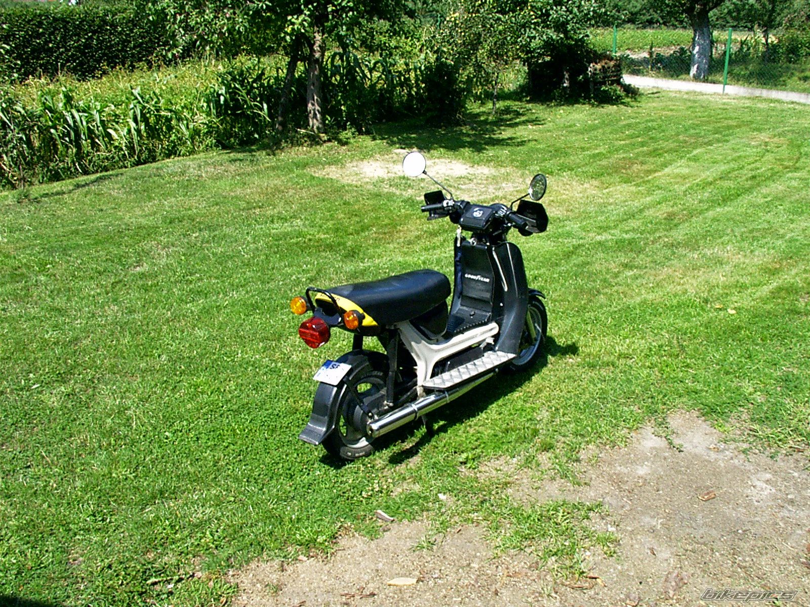 Photo 1127906