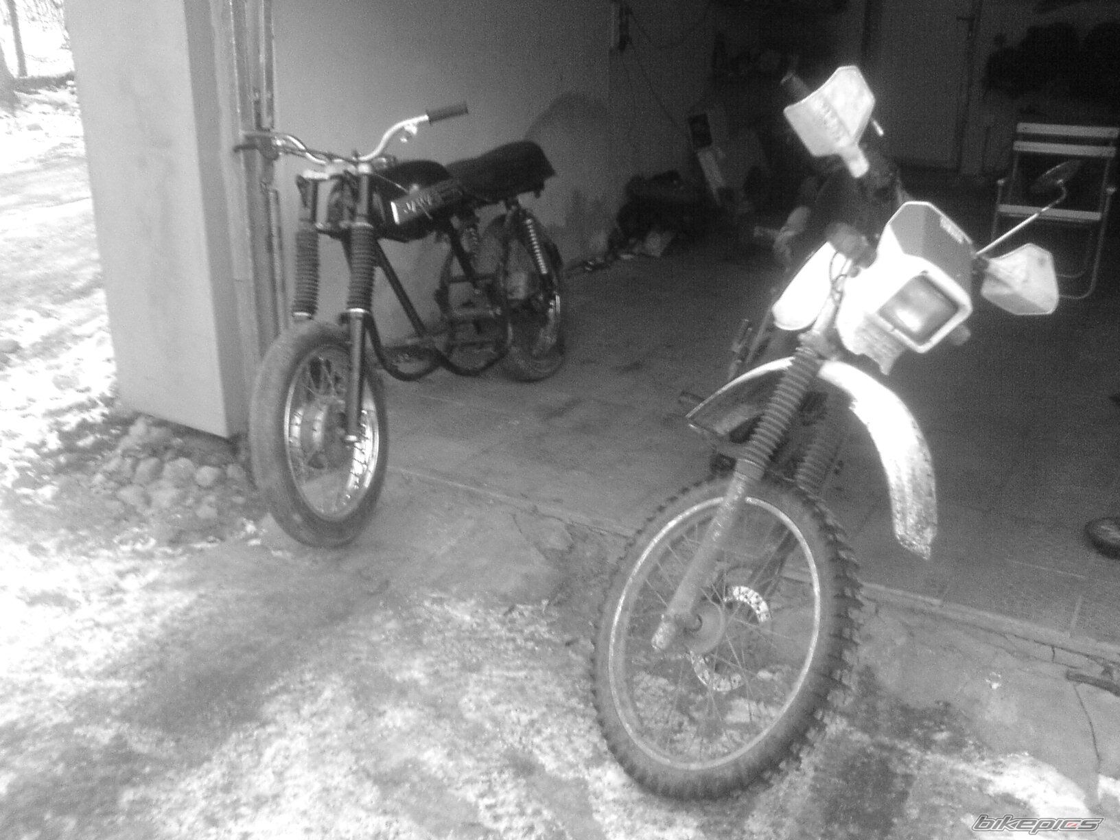 Photo 1127994