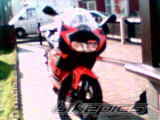Photo 11280