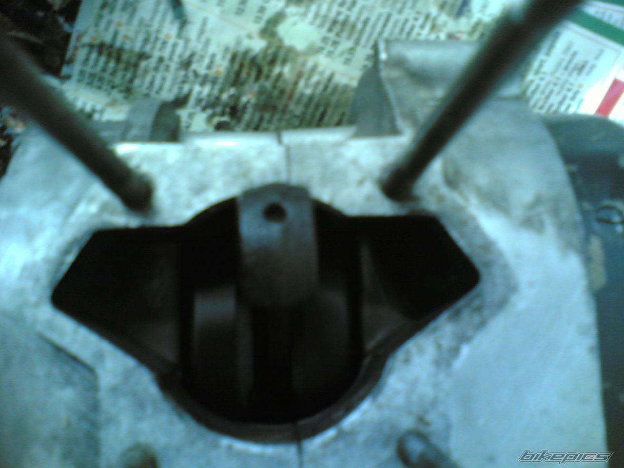 Photo 1128074