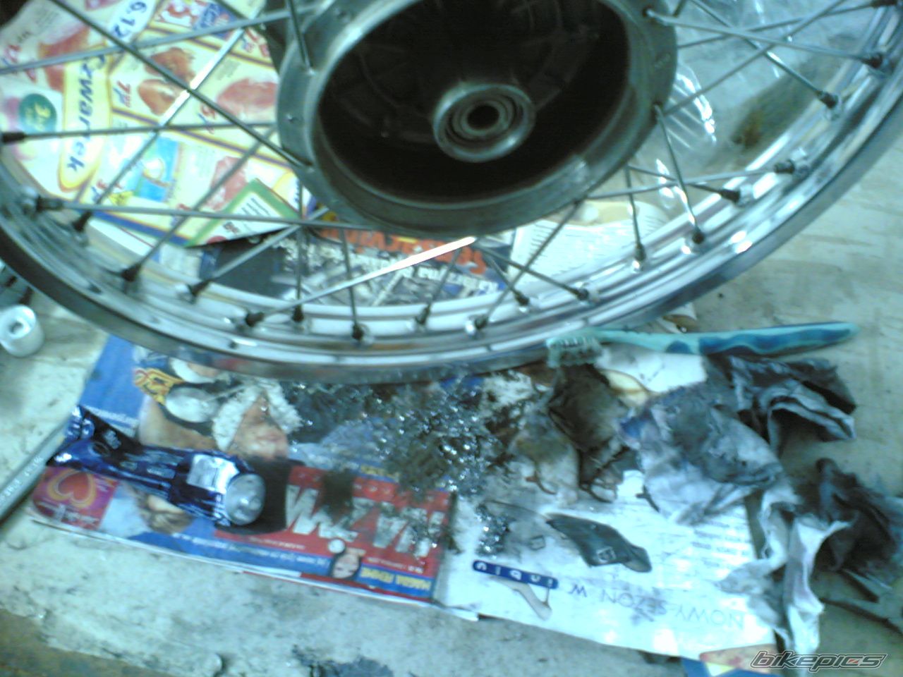 Photo 1128088