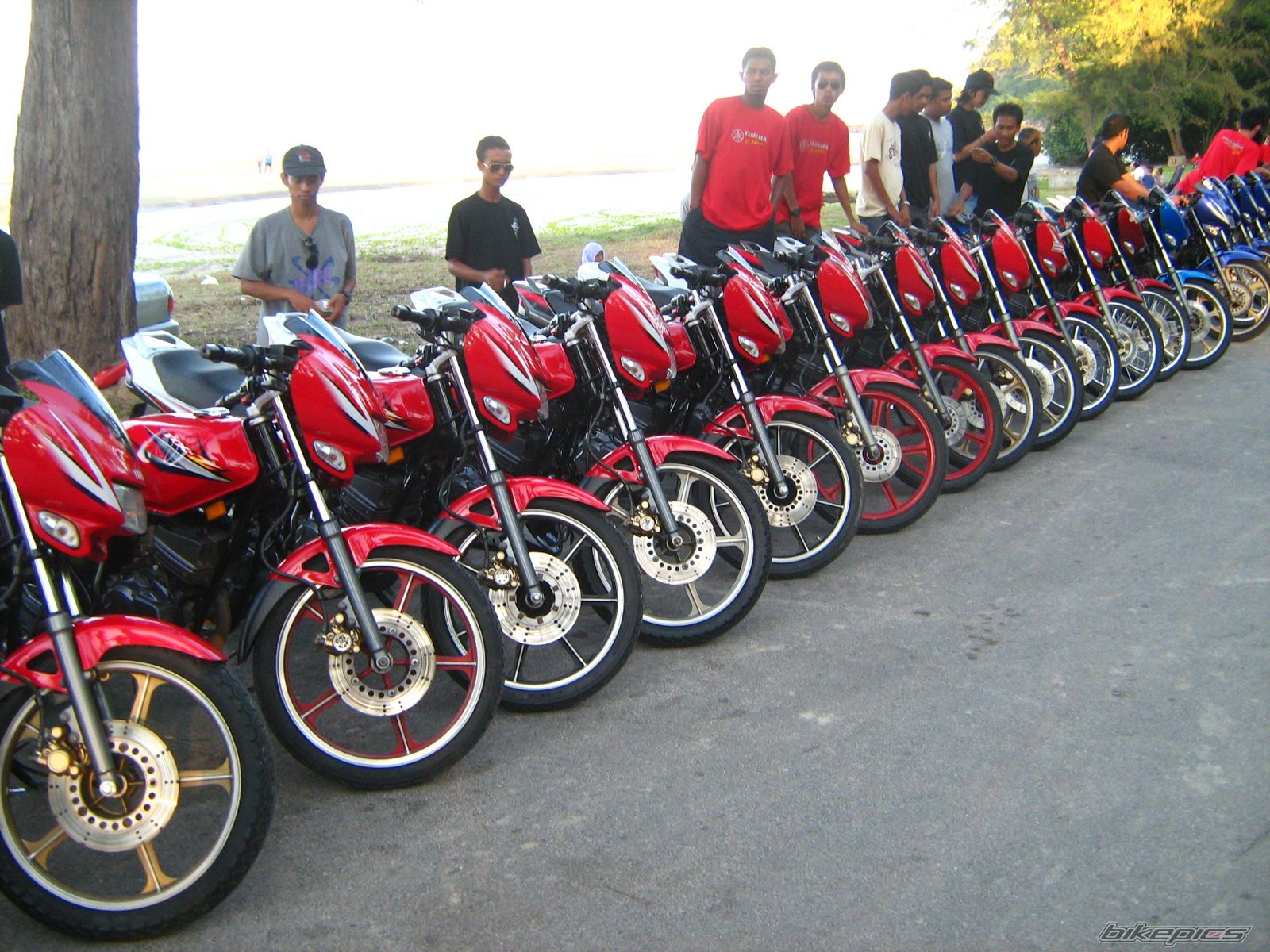 Bike Photo 1128098