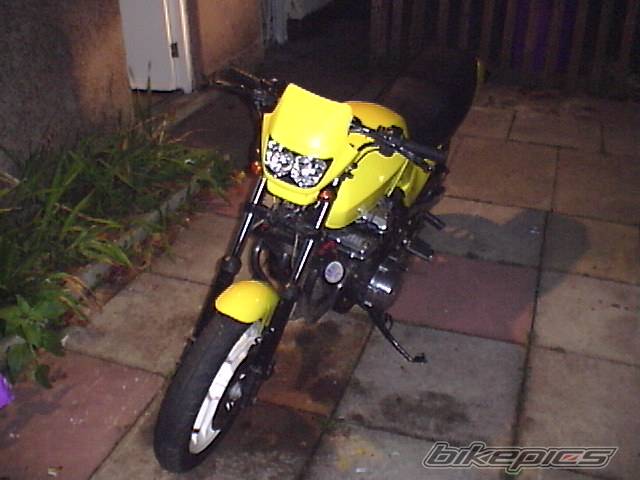 Photo 11288