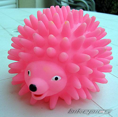 Photo 113066
