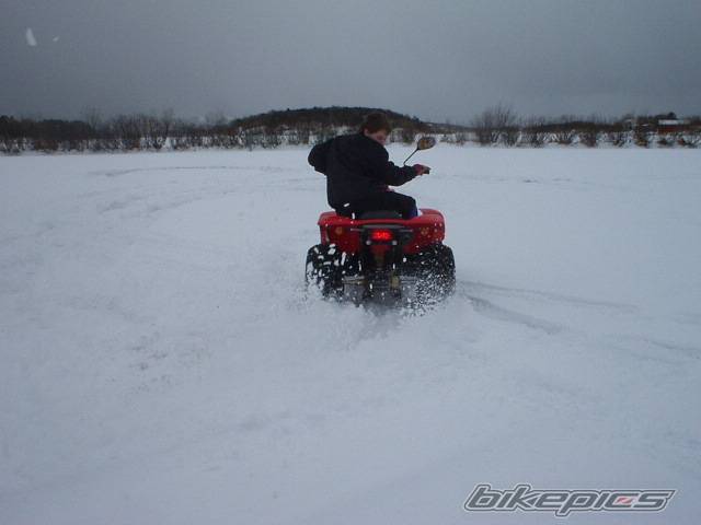 Photo 113175