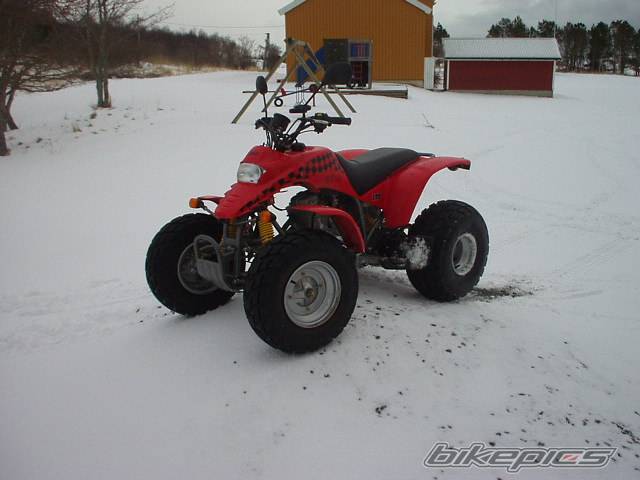 Bike Photo 113176