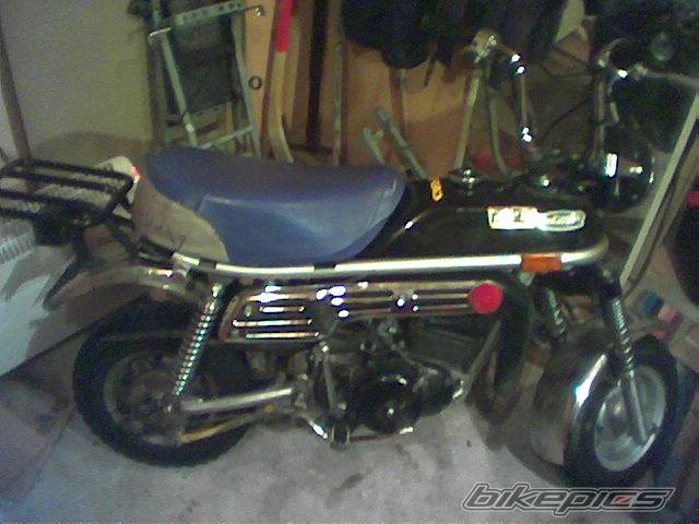 Photo 113180