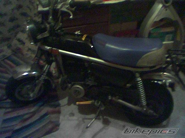 Photo 113185