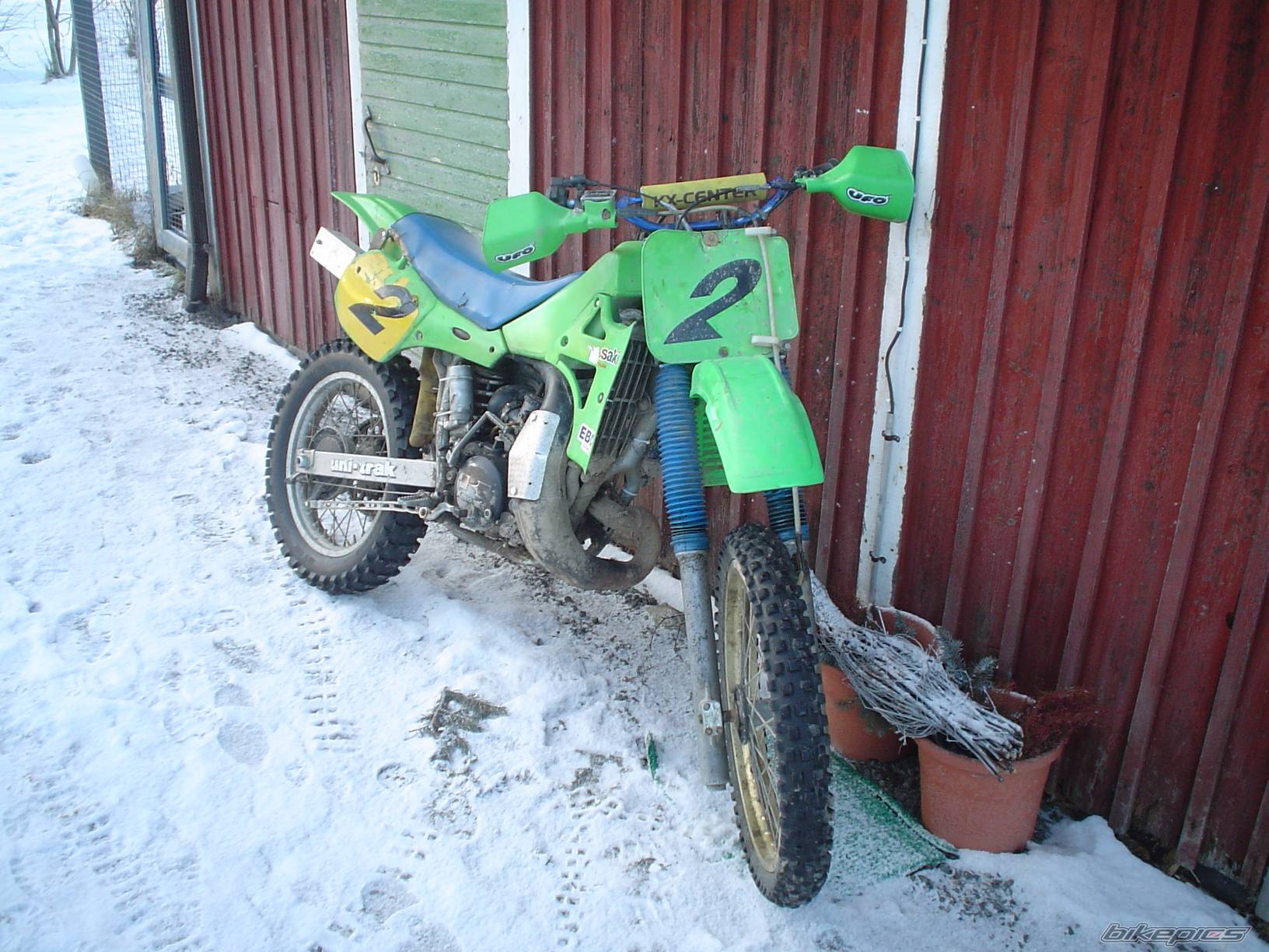 Photo 113239