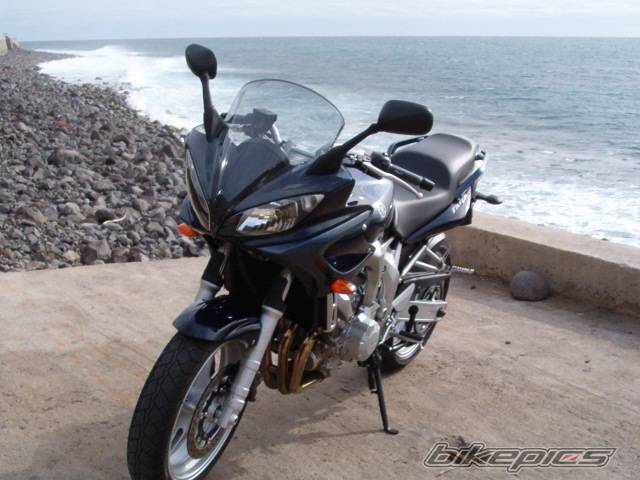 Photo 113304