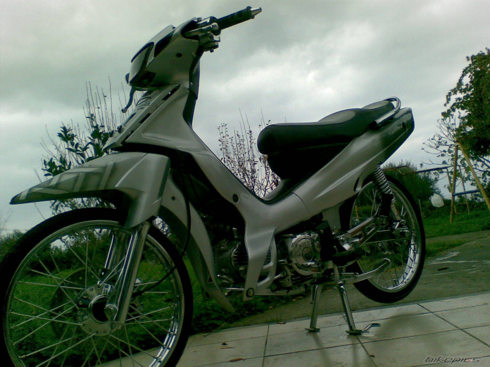 Photo 1133237