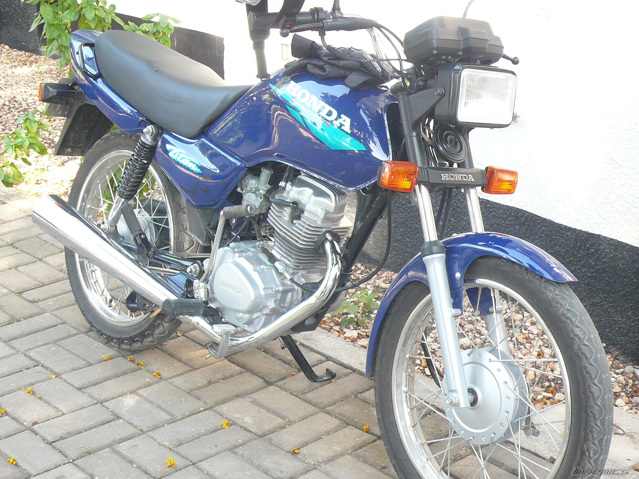 Photo 1133267
