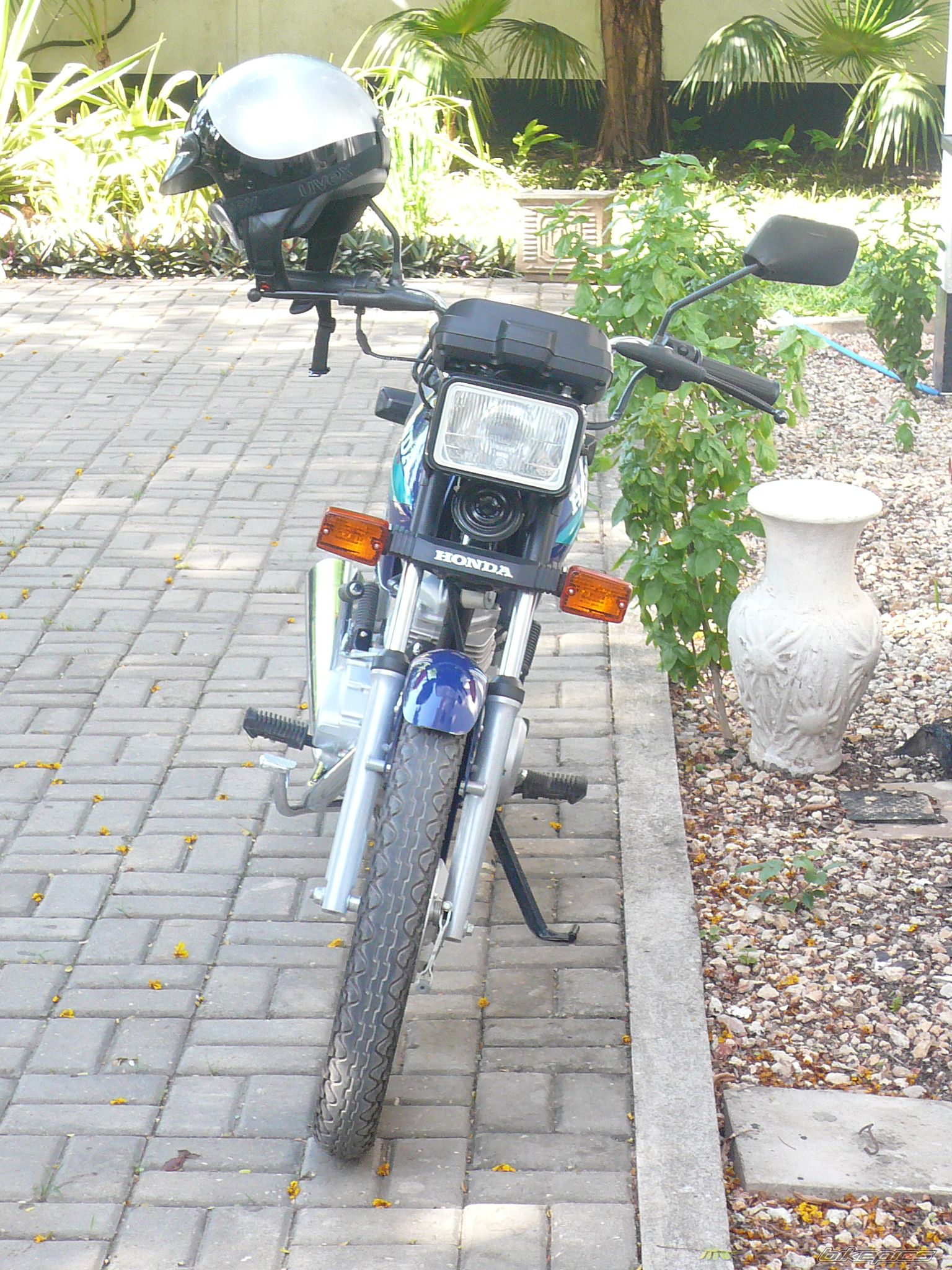 Photo 1133271