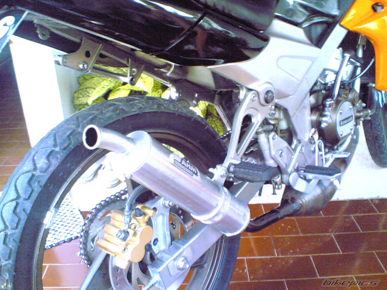 Photo 1133272