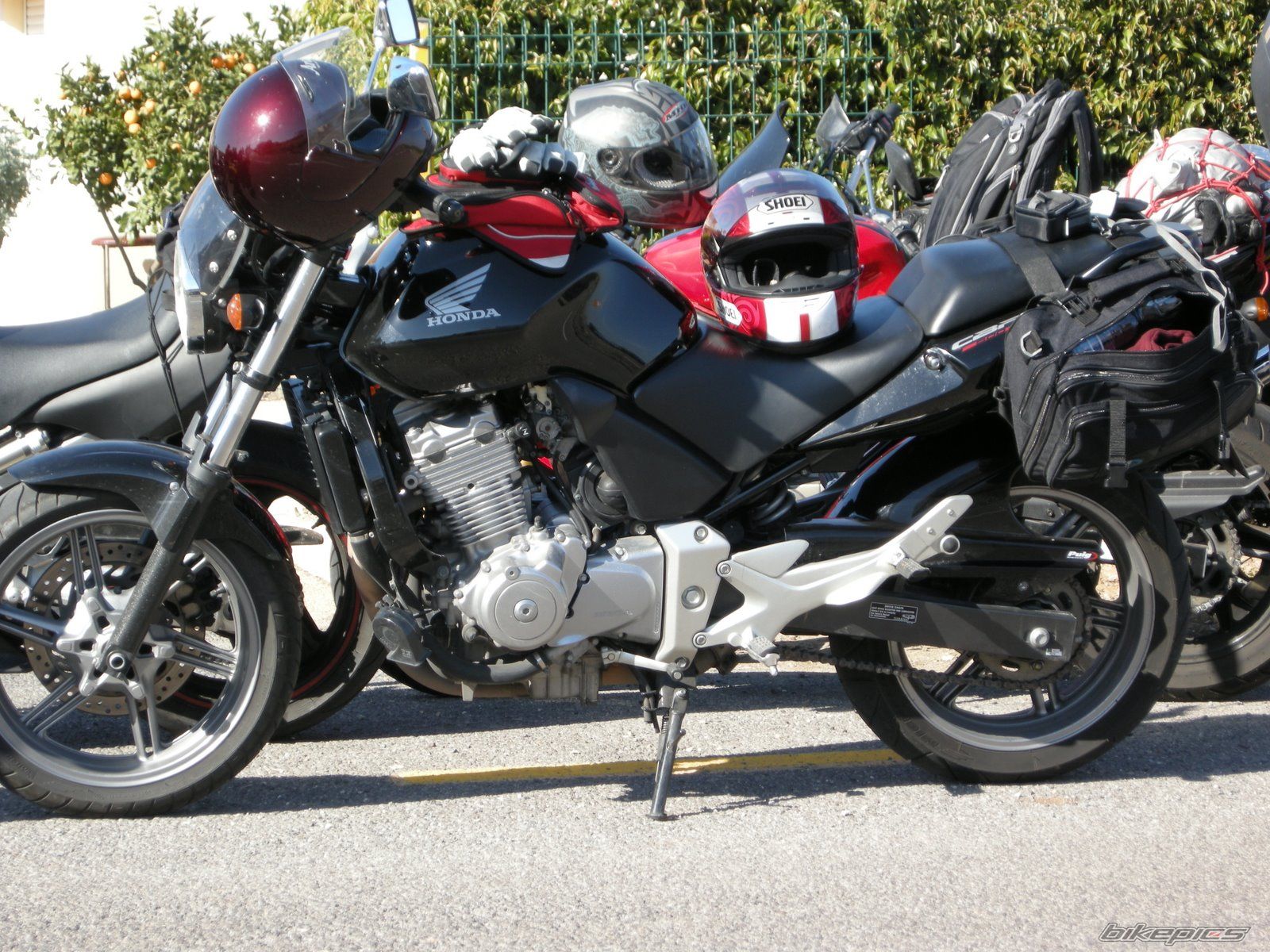 Photo 1133284