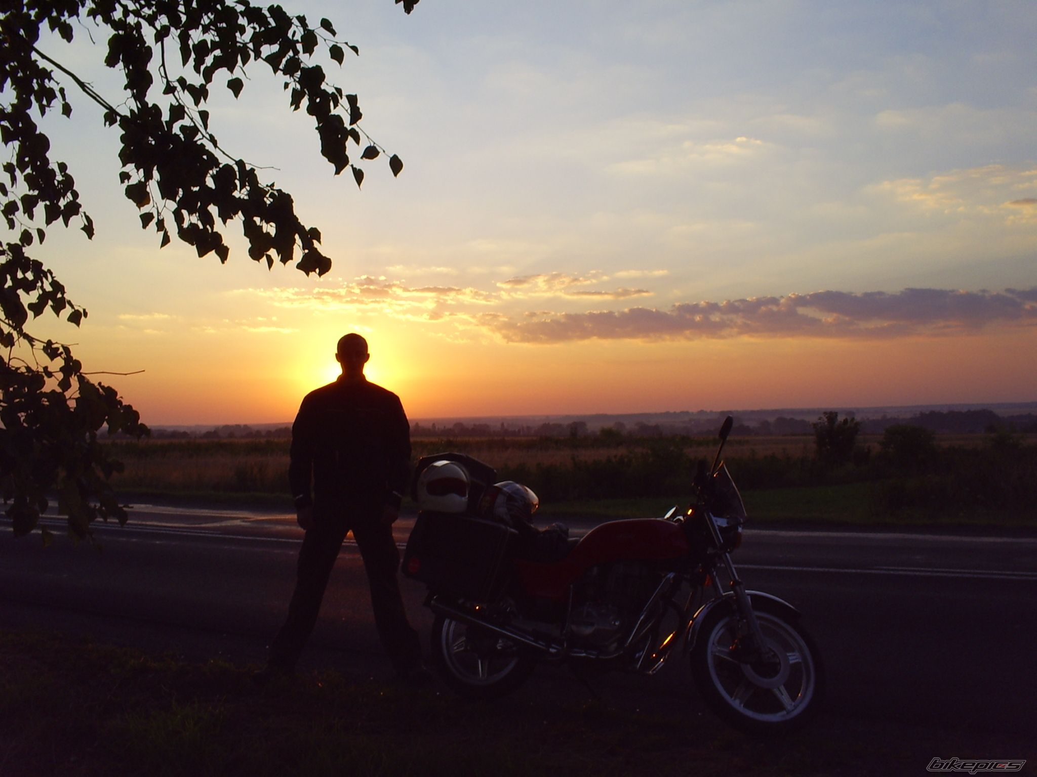 Photo 1133297