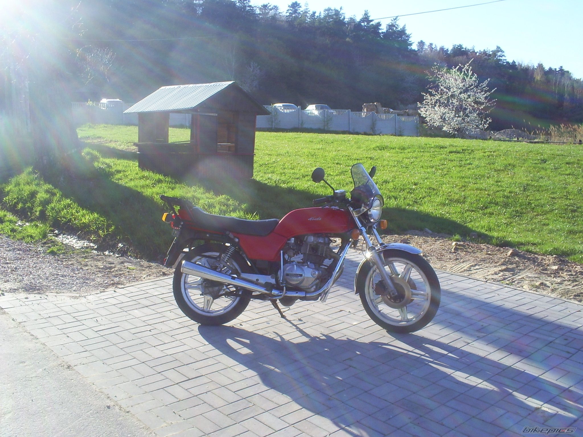 Photo 1133301