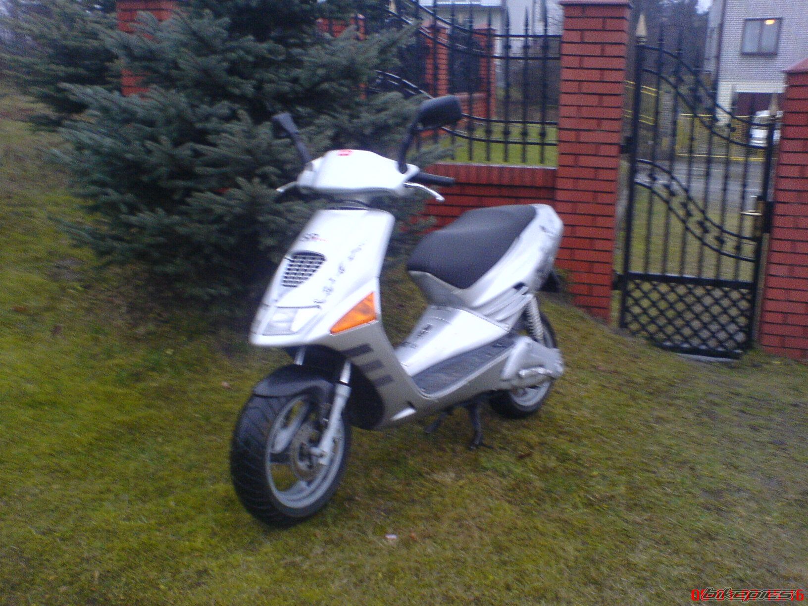 Photo 1133394