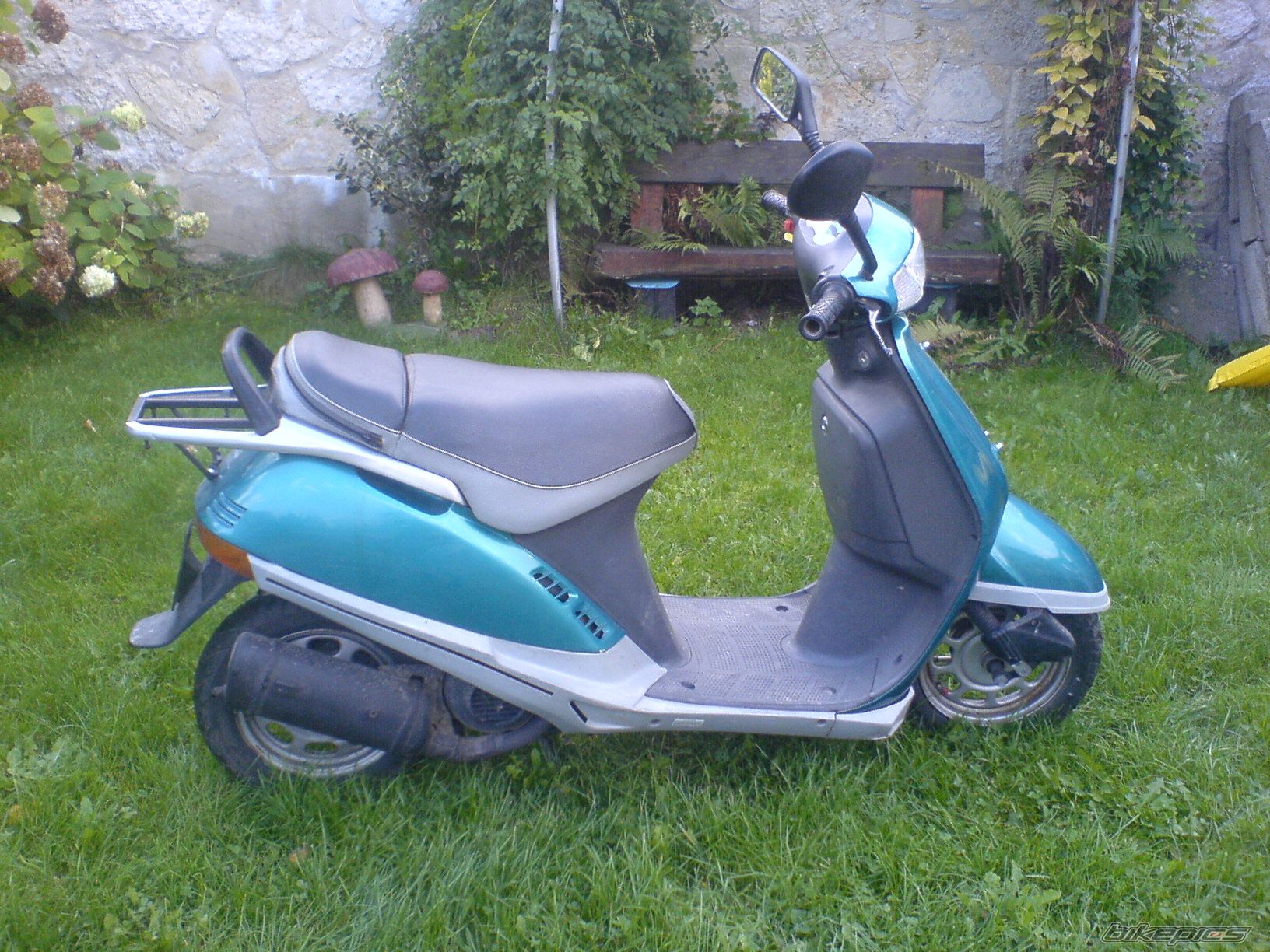 Photo 1133397