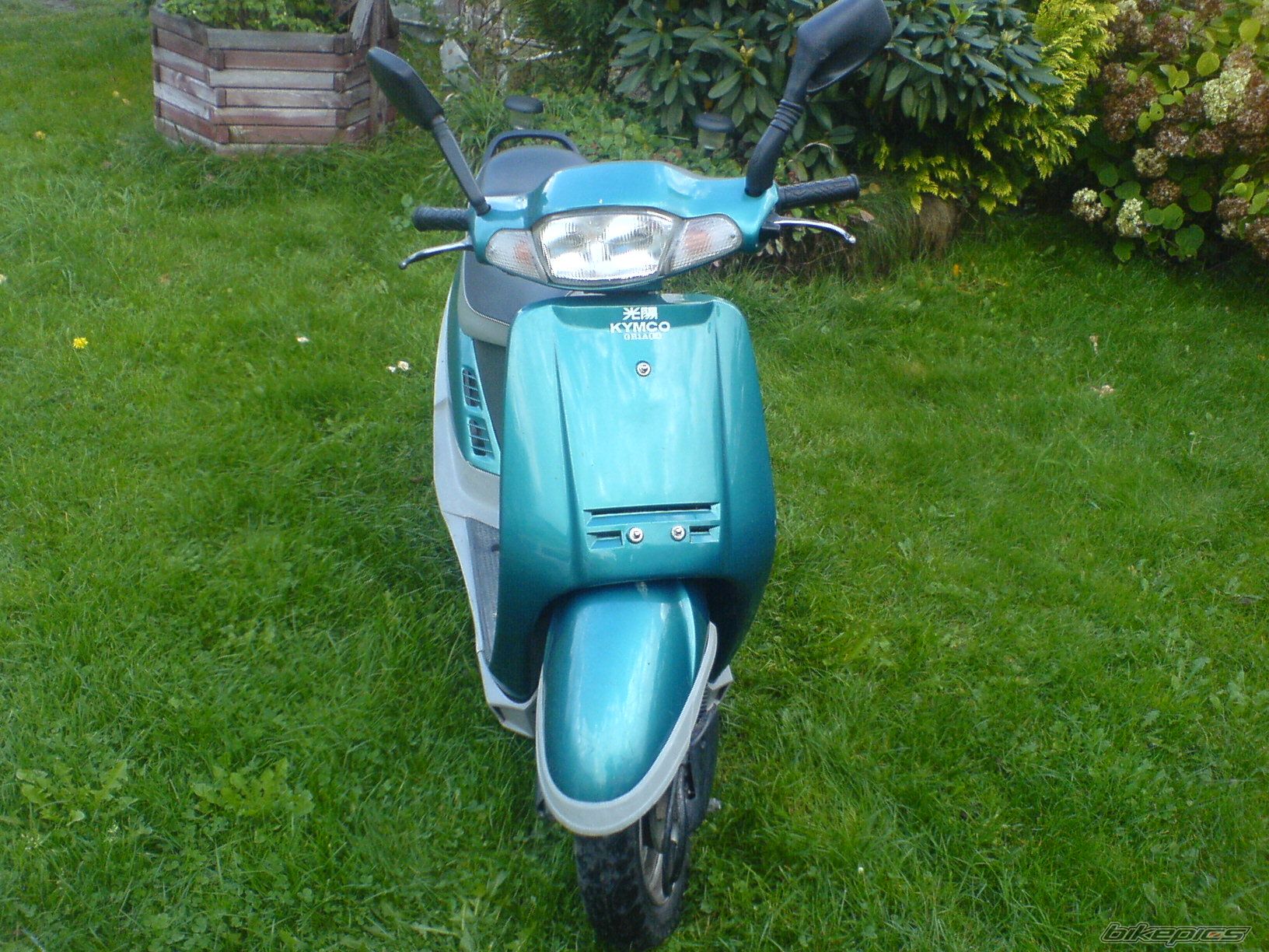 Photo 1133398
