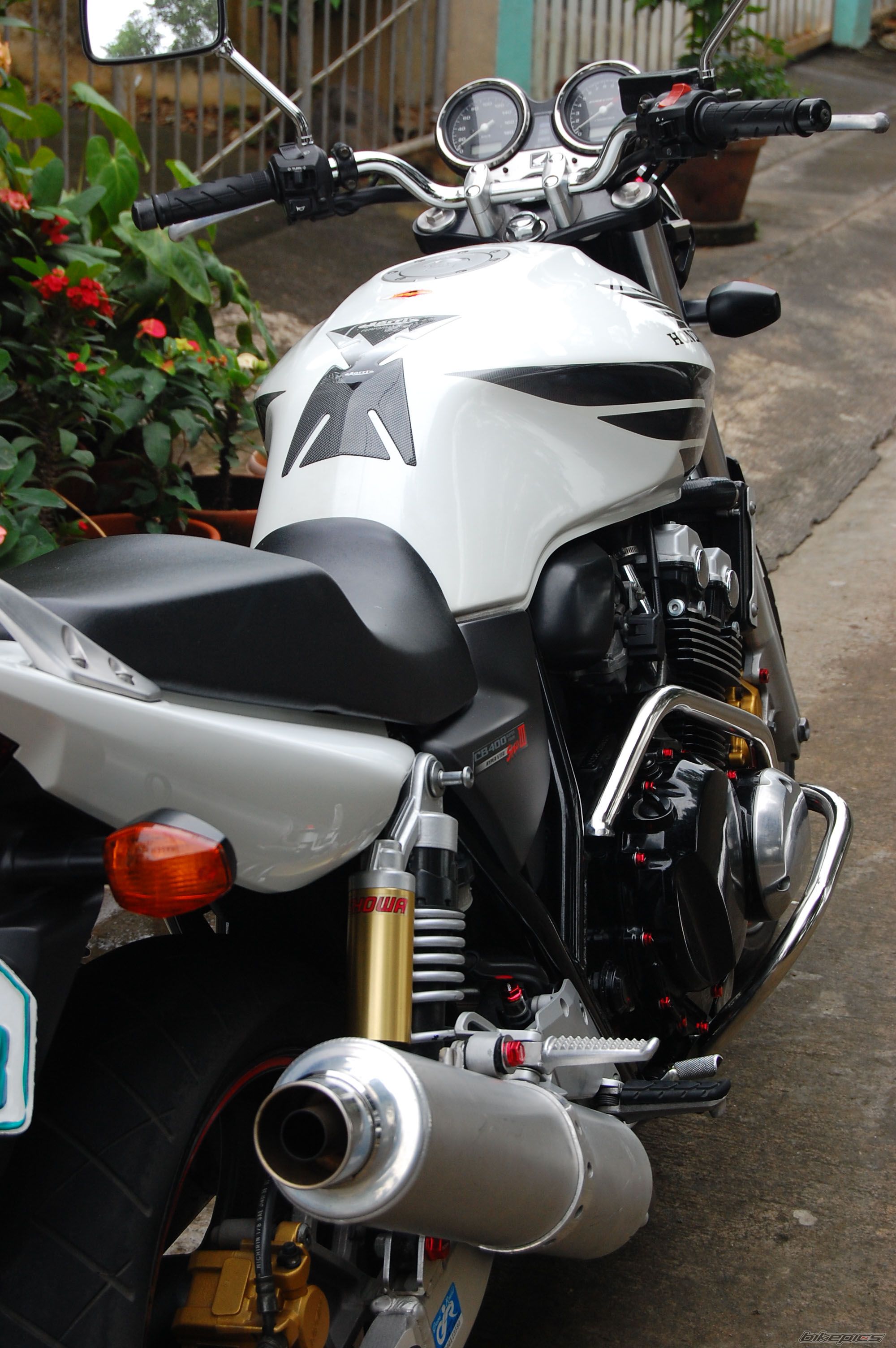 Photo 1133413