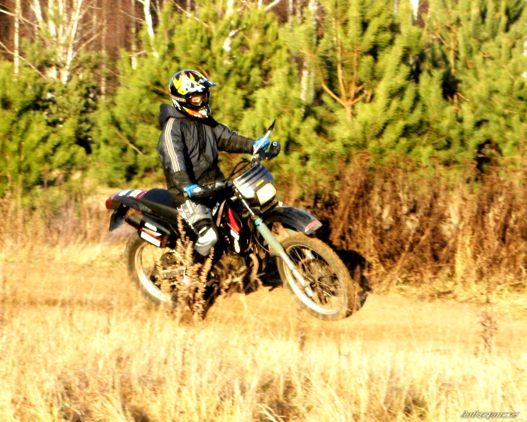 Photo 1133447