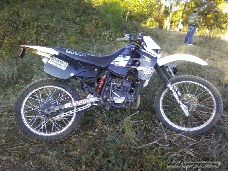 Photo 1133464
