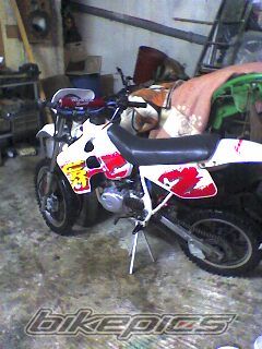 Photo 1133477