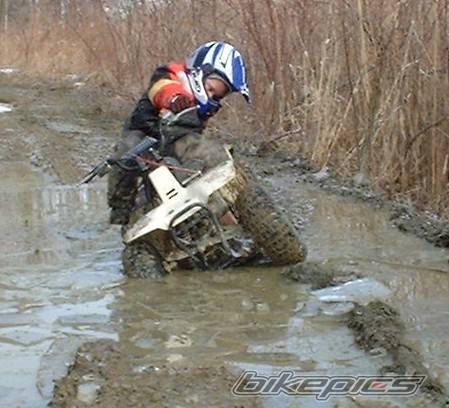 Photo 113348