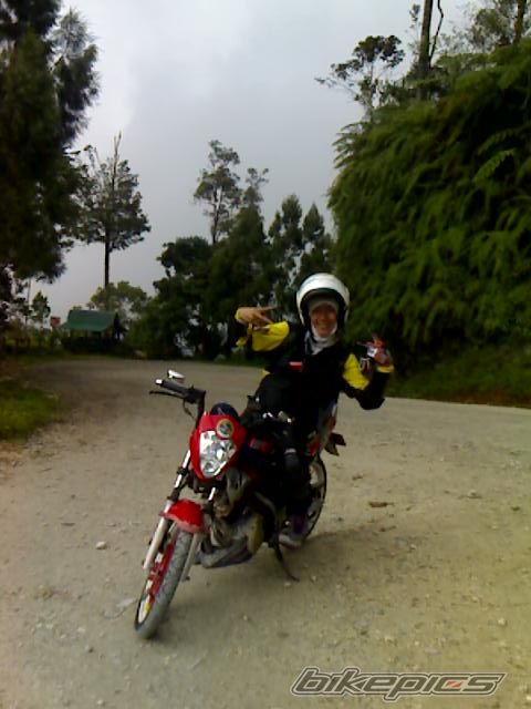 Photo 1133486