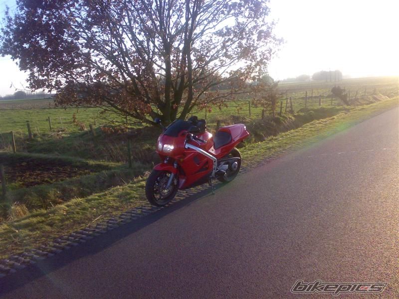 Photo 1133618
