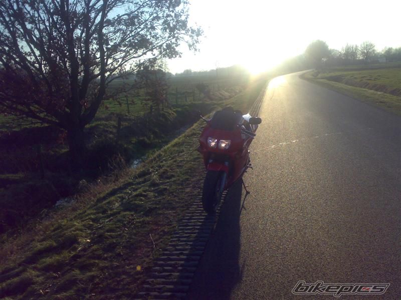 Photo 1133619